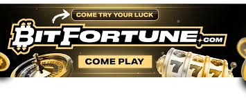 Experience the Thrill of Bitfortune Live Casino for Crypto Enthusiasts -1296832324
